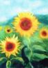 Carte postale laine cardée - Fleurs et Paysages - Mercurius Motif : Fleur 6