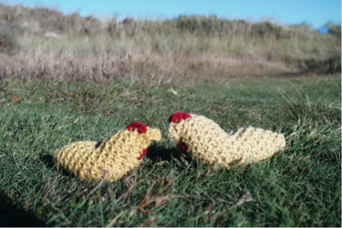 Kit tricot Poule avec aiguilles à tricoter - Filges